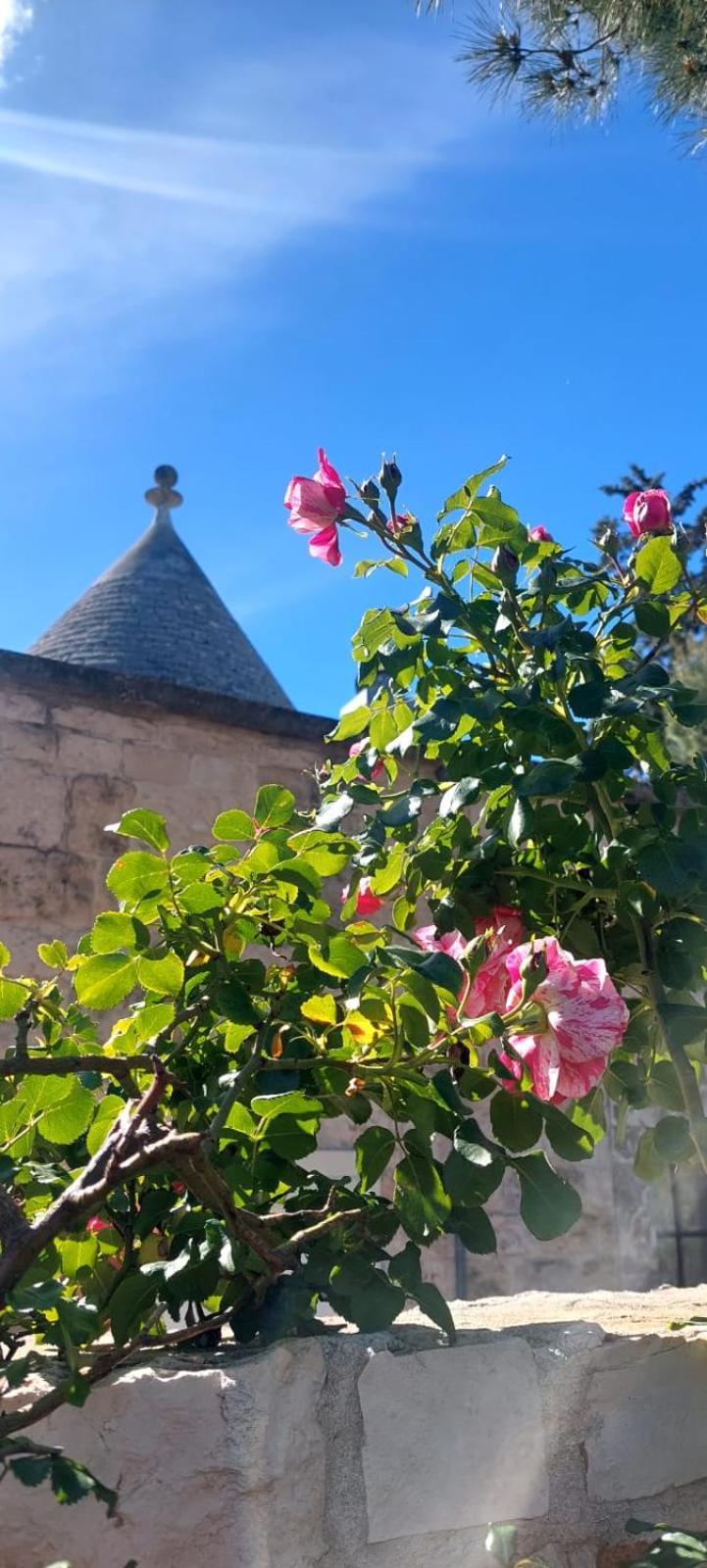 Il Trullo Delle Rose, Monopoli By Il Pumo Di Puglia Villa Cozzana Екстериор снимка