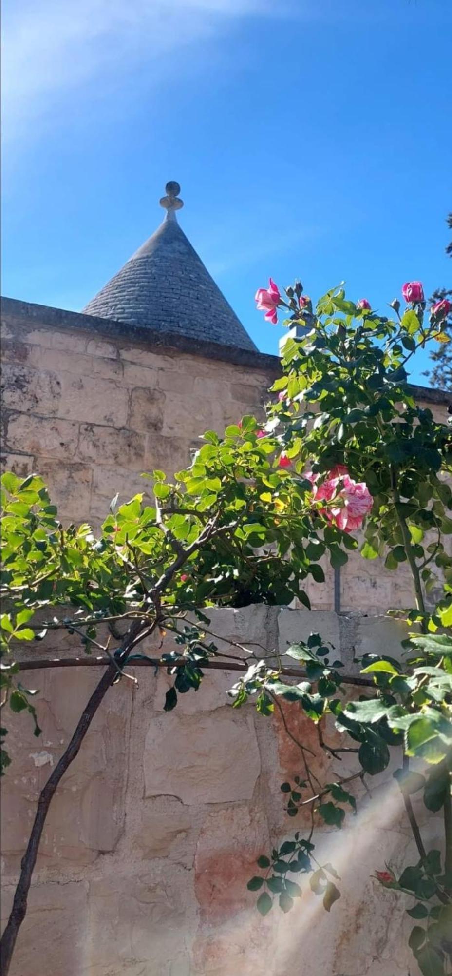 Il Trullo Delle Rose, Monopoli By Il Pumo Di Puglia Villa Cozzana Екстериор снимка
